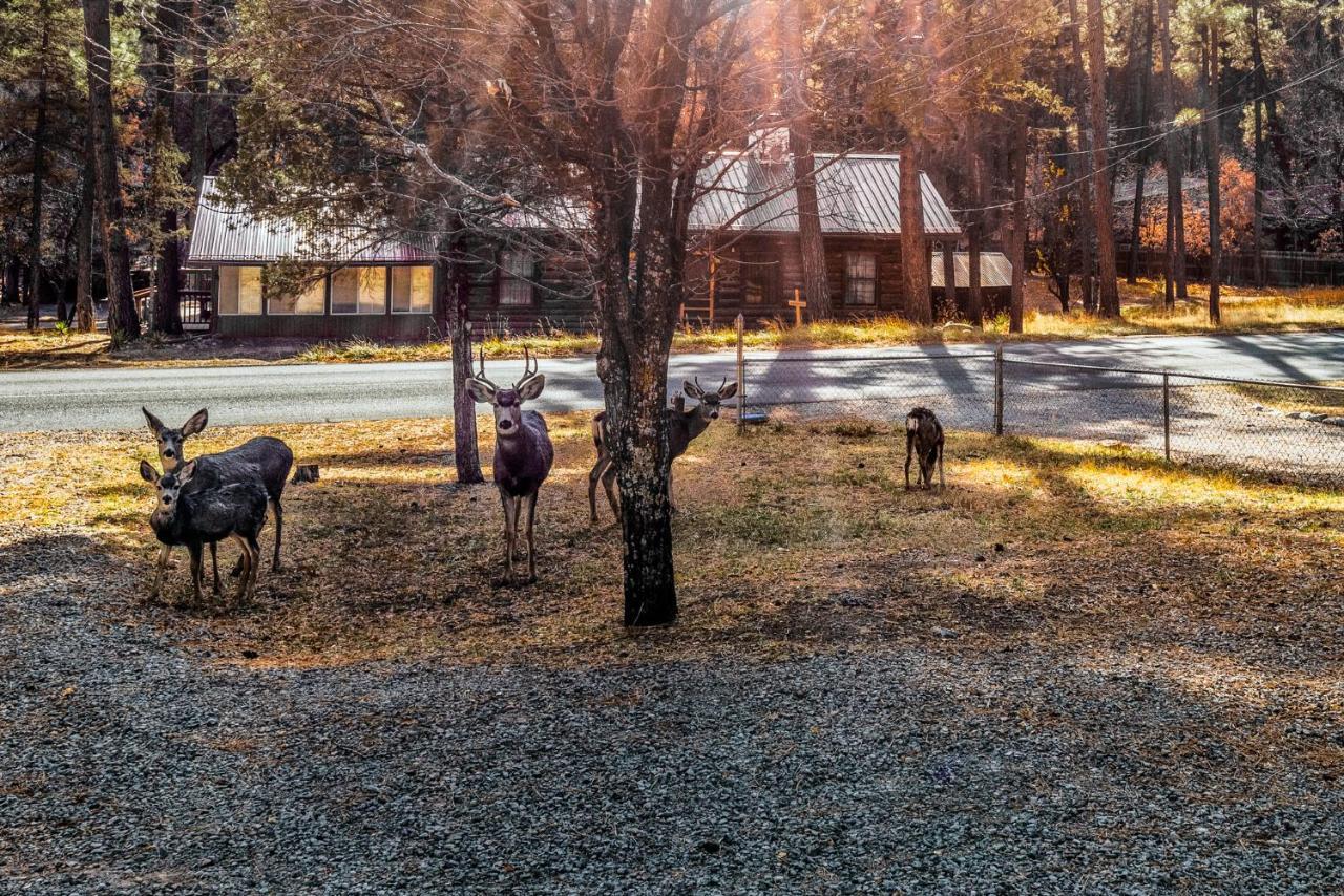 The Great Escape Villa Ruidoso Exterior foto